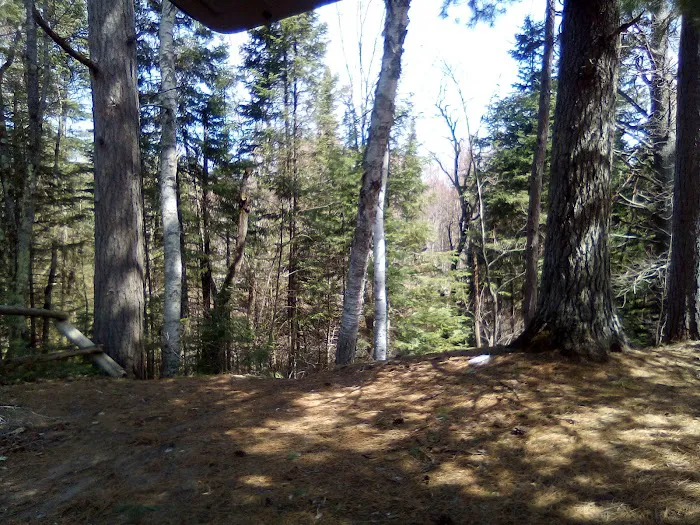 Fox River State Forest Campground Picture 3