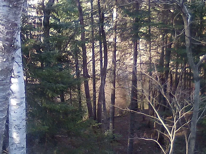 Fox River State Forest Campground Picture 7