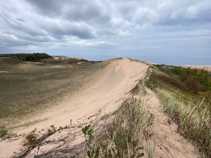 Masse Homestead Campground Picture 7