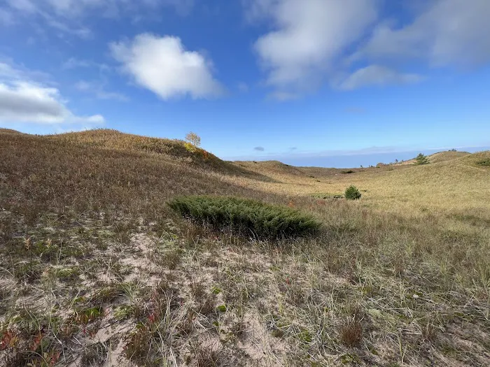 Masse Homestead Campground Picture 8