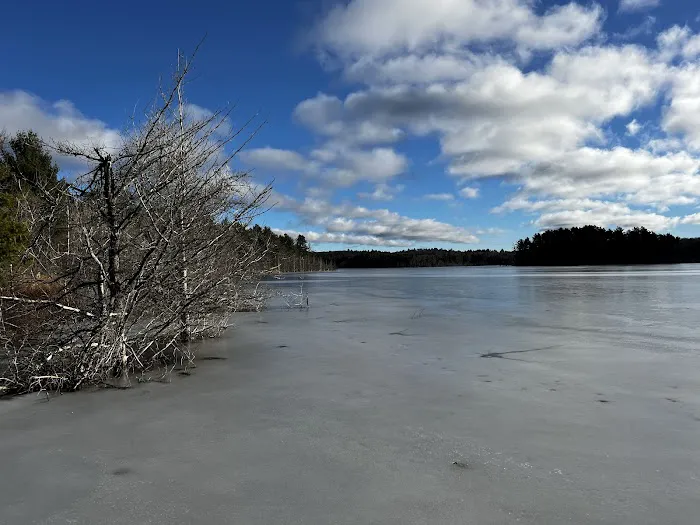 Kingston Lake State Forest Campground Picture 8