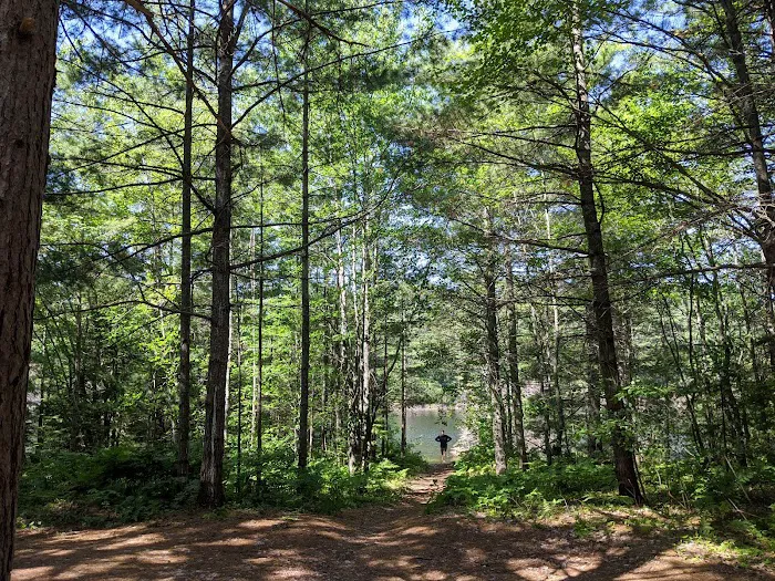 Kingston Lake State Forest Campground Picture 7