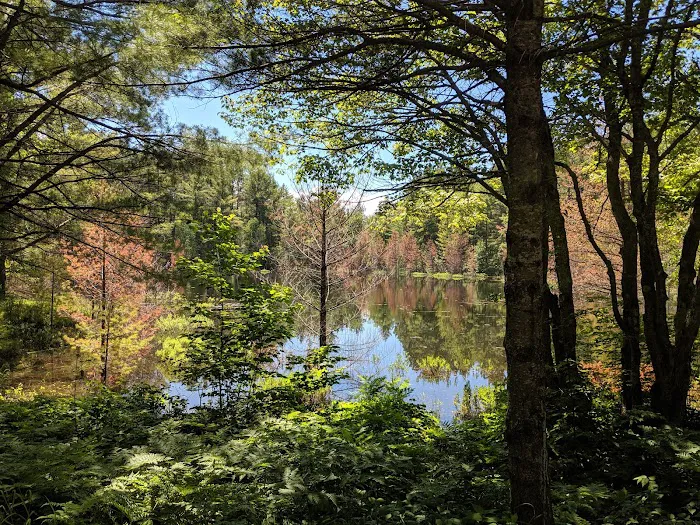 Kingston Lake State Forest Campground Picture 10