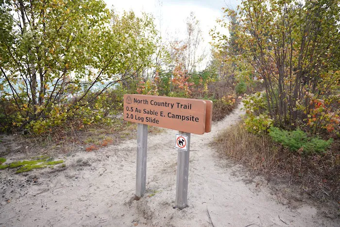 Au Sable East Campground Picture 8