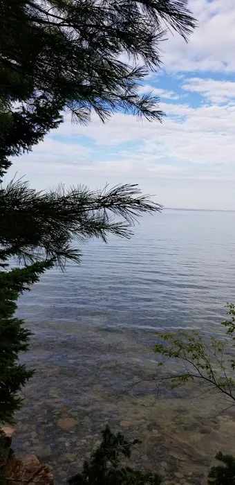 Au Sable East Campground Picture 7