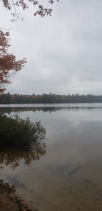 Cusino Lake State Forest Campground Picture 6