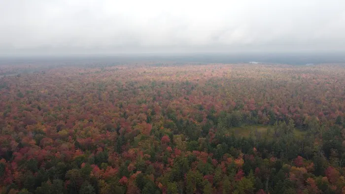 Cusino Lake State Forest Campground Picture 5