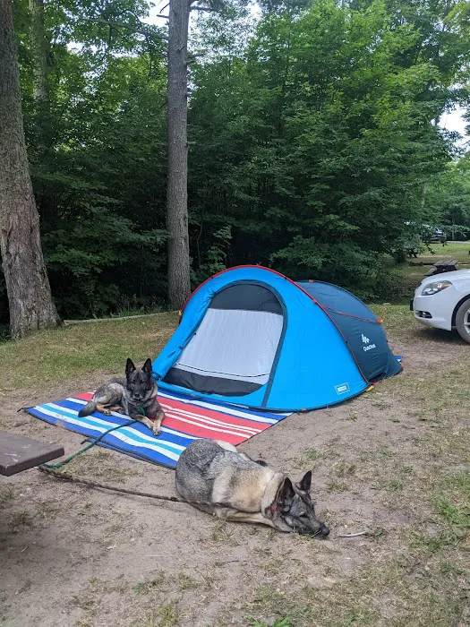 Ross Lake State Campground Picture 8