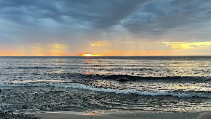 Hurricane River Campground Picture 10