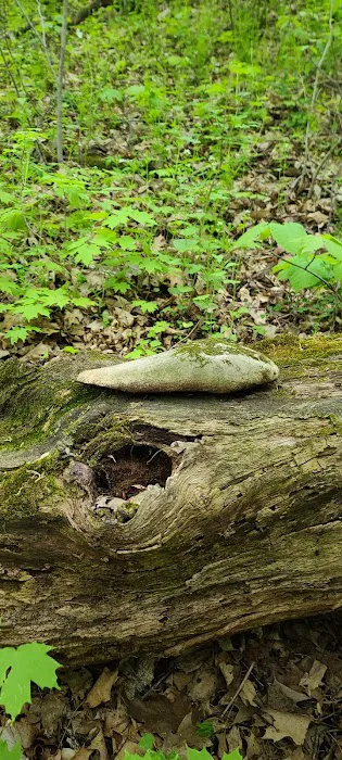 Greenbush Campground Picture 2