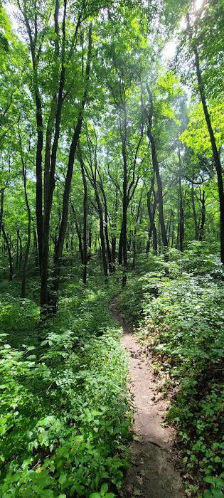 Greenbush Campground Picture 4