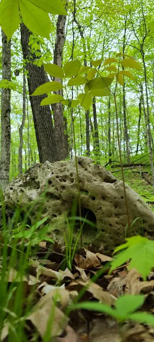 Greenbush Campground Picture 3