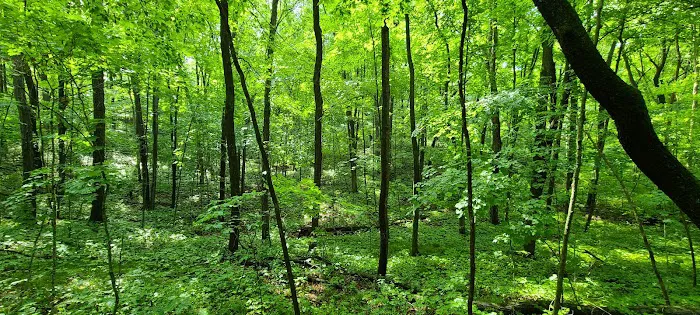 Greenbush Campground Picture 8