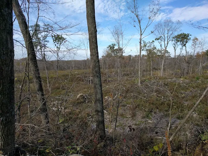 Greenbush Campground Picture 5