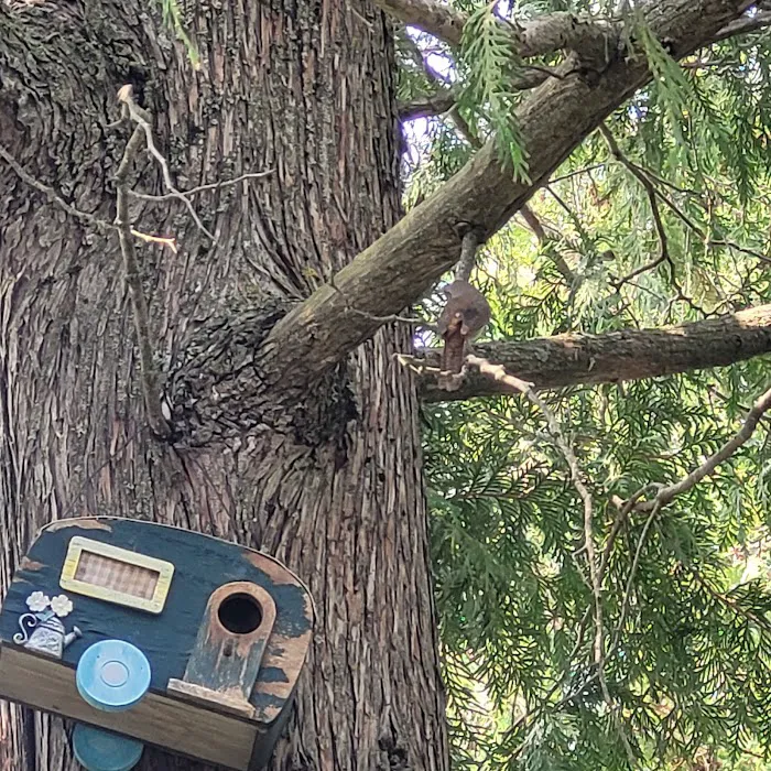 Circle R Campground Picture 6