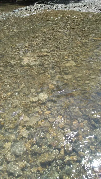 Miners Creek Hideout Picture 4