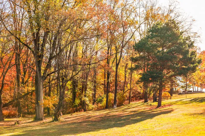 Valley View Campground Picture 8