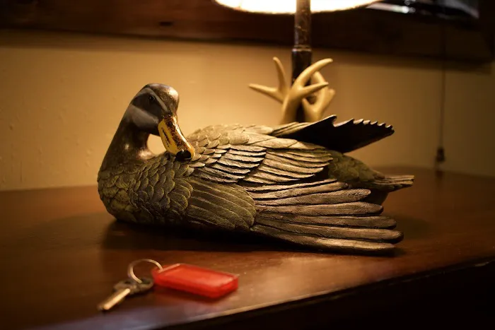 Woodman Lake Cabins & RV Picture 7