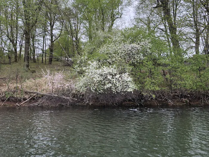 Campground on Equestrian Drive Picture 5