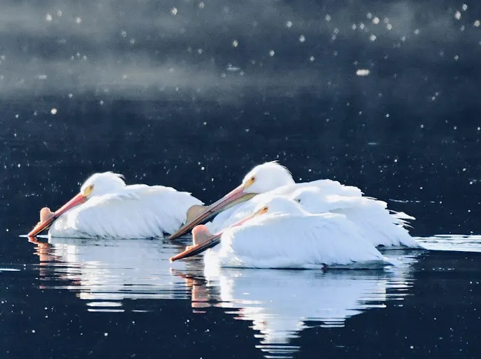 Campground on Equestrian Drive Picture 9