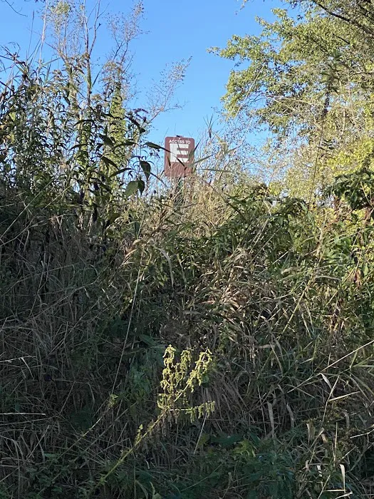 KVR Campsite E Picture 3