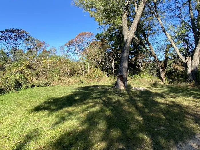 KVR Campsite E Picture 7