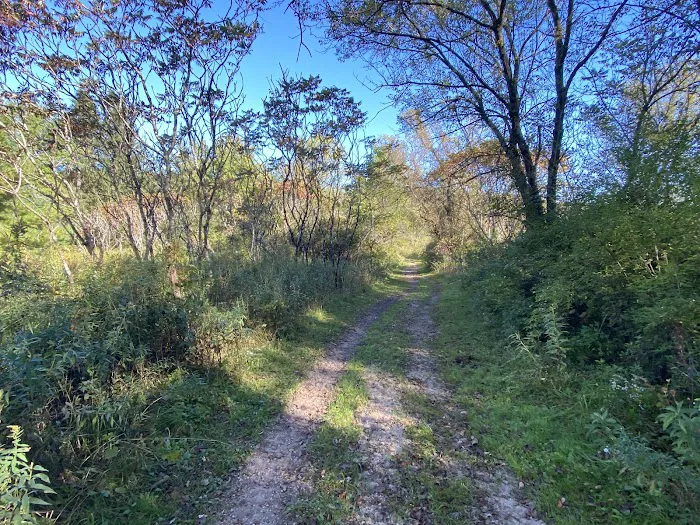 KVR Campsite E Picture 5