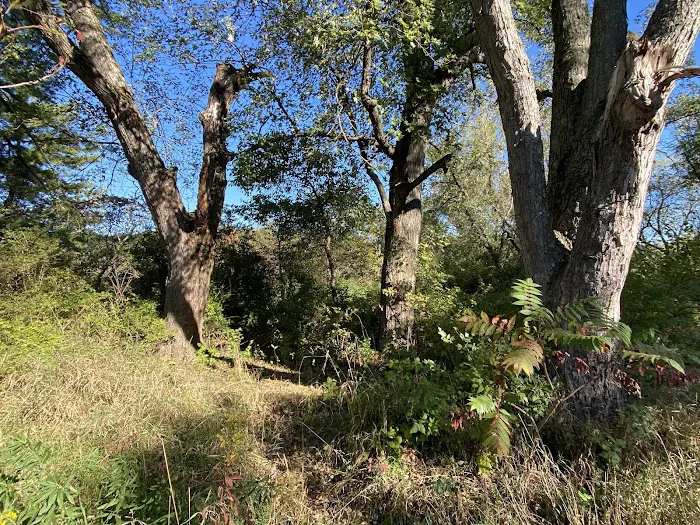 KVR Campsite E Picture 9