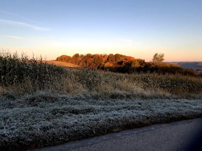 KVR Campsite KK Picture 1