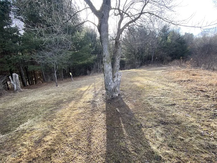 KVR Campsite KK Picture 4