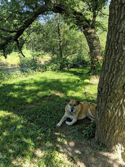 Blakley Hobbit Picture 3