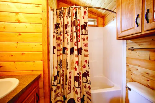 Wisconsin Dells KOA Holiday Picture 1