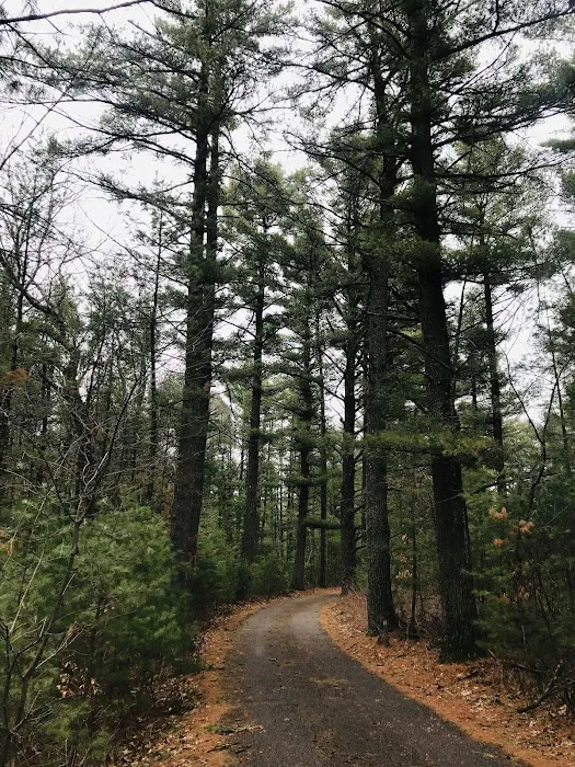 Camp Wawbeek - Easter Seals Wisconsin Camps Picture 7