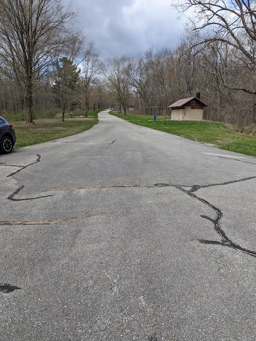 Outdoor Group Camp Picture 2