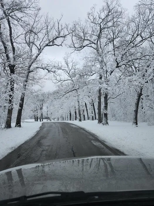 Homestead Campground Picture 2