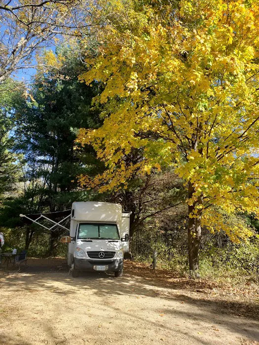 Homestead Campground Picture 8