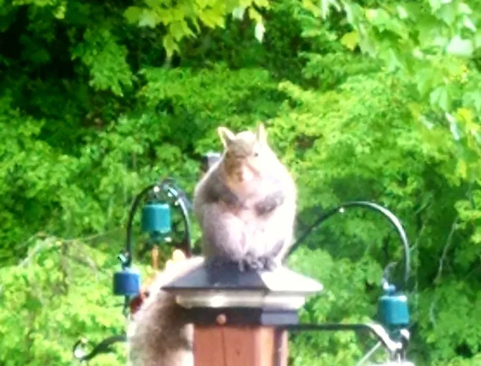 Paradise Valley Campground Picture 5