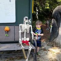 Paradise Valley Campground ico