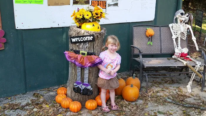 Paradise Valley Campground Picture 3