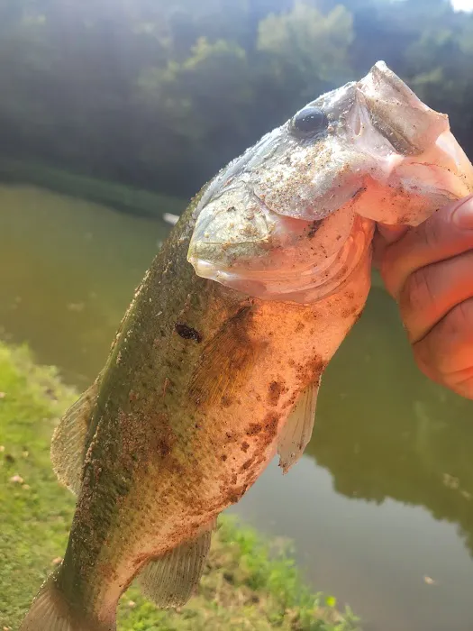 Paradise Valley Campground Picture 8