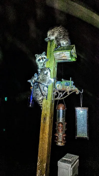 Paradise Valley Campground Picture 9