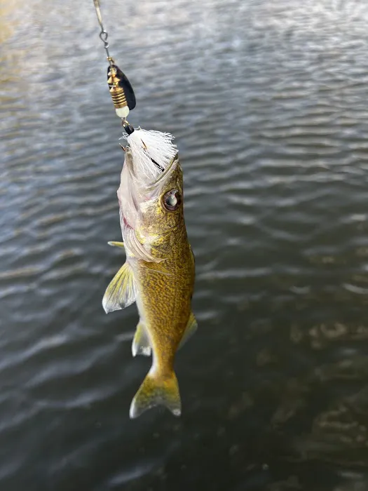 Eureka Dam Campsite Picture 8