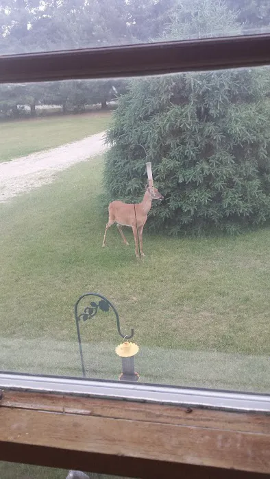 White River Campgrounds Picture 1