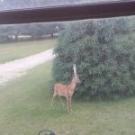 White River Campgrounds