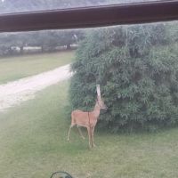 White River Campgrounds ico