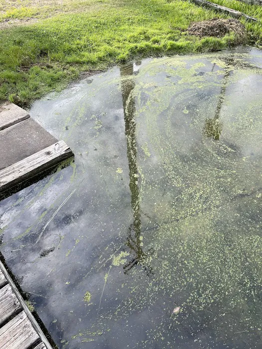 White River Campgrounds Picture 5