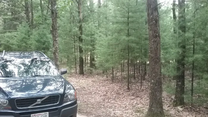 Wildwood Campground, Pine Lake Picture 3