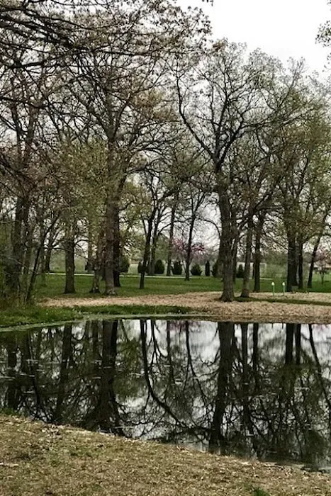 Chatfield Park Campground Picture 5