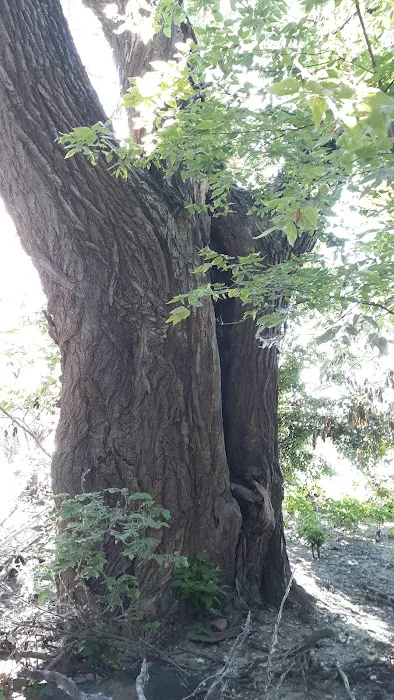 Riverfront Park / Goose Landing Picture 2