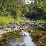 Shimek State Forest Equestrian Campground Lower Camp